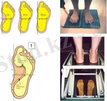 Жалпақтабан