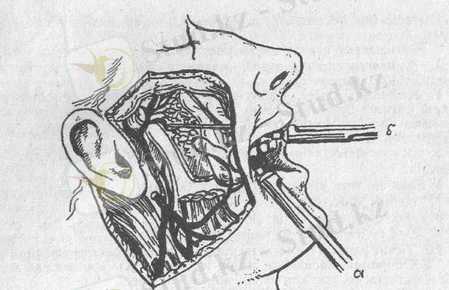 c:\documents and settings\открыть\local settings\temporary internet files\content.word\1 001.jpg