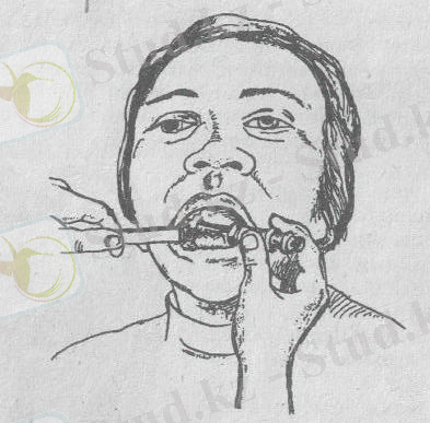 c:\documents and settings\открыть\local settings\temporary internet files\content.word\1 002.jpg