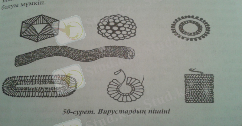 C:\Users\Kanzat\AppData\Local\Microsoft\Windows\Temporary Internet Files\Content.Word\20170201_233943.jpg