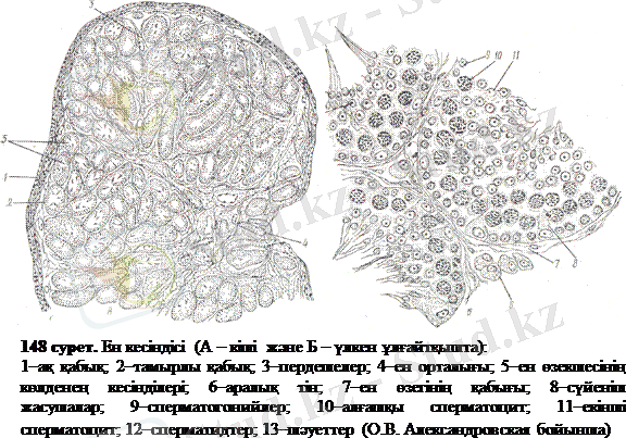 C:\Users\Core i3\Desktop\ен 2.gif