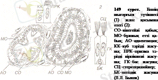 C:\Users\Core i3\Desktop\ен.gif