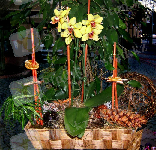 Цветочная композиция с орхидеями