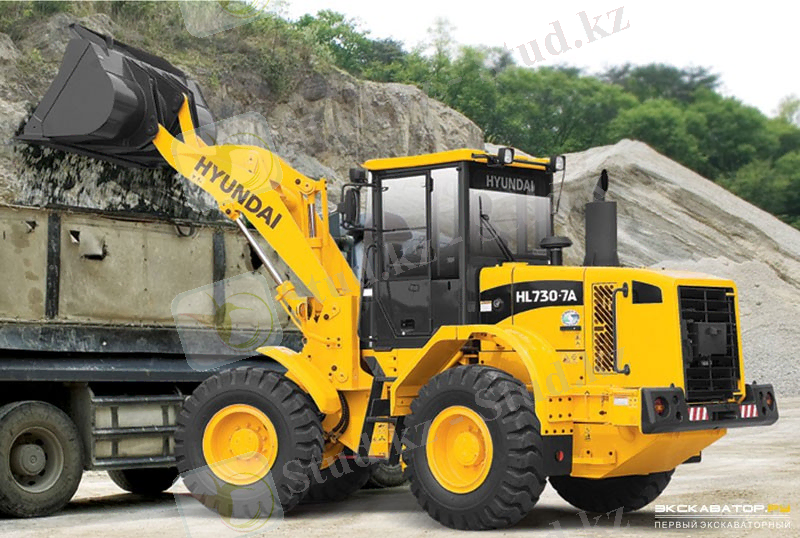 Картинка 3 из 101