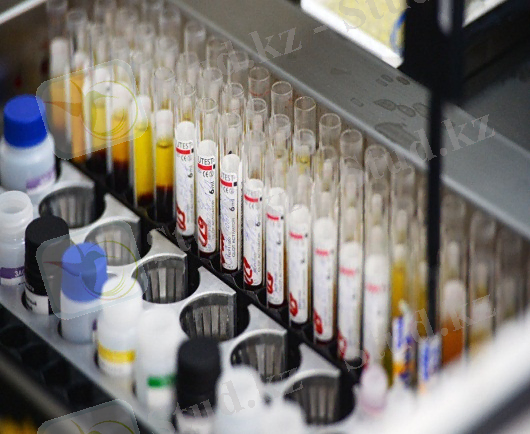 Картинки по запросу подавление роста клеток