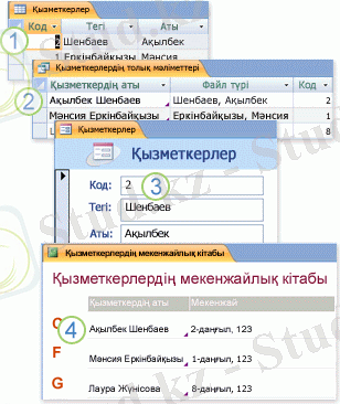 Сұрауда, пішінде және есепте қолданылатын кестелерден алынатын деректер