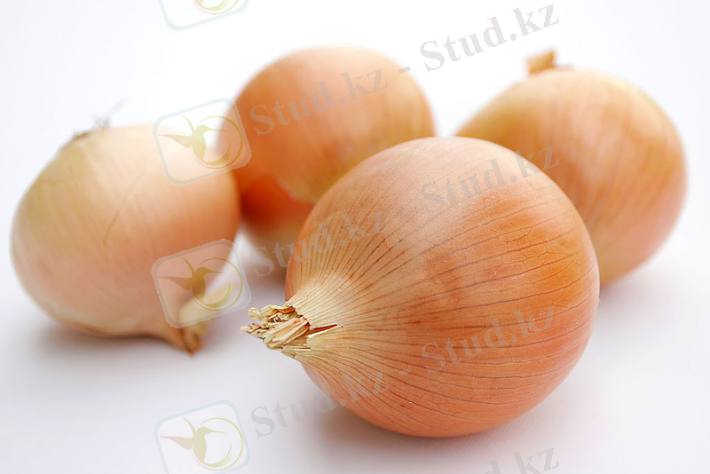 Басты пияз‎