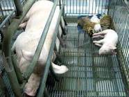 C:\Users\Арман\Desktop\Новая папка\11.jpg