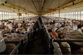 C:\Users\Арман\Desktop\Новая папка\8.jpg