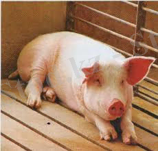 C:\Users\Арман\Desktop\Новая папка\7.jpg