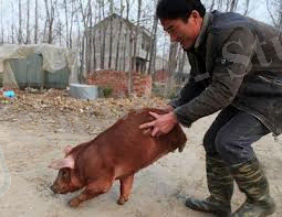 C:\Users\Арман\Desktop\Новая папка\10.jpg