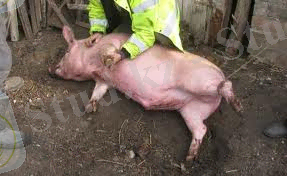 C:\Users\Арман\Desktop\Новая папка\5.jpg