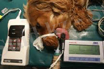 C:\Users\Администратор\Desktop\2 рубеж тоха\images (10).jpg