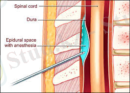 C:\Users\Администратор\Desktop\2 рубеж тоха\images (14).jpg