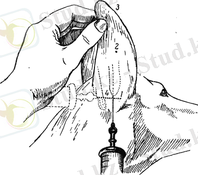 C:\Users\Администратор\Desktop\2 рубеж тоха\i_086.png