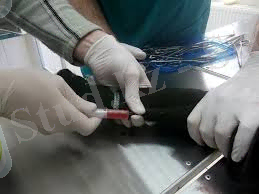 C:\Users\Администратор\Desktop\2 рубеж тоха\images (8).jpg