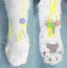 C:\Users\Администратор\Desktop\2 рубеж тоха\images (18).jpg