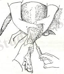 C:\Users\Администратор\Desktop\2 рубеж тоха\скачанные файлы (7).jpg