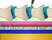 C:\Users\Администратор\Desktop\2 рубеж тоха\images (12).jpg