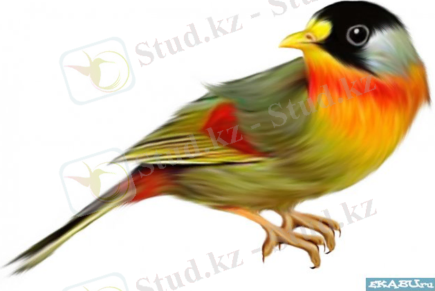 Картинка 14 из 96000