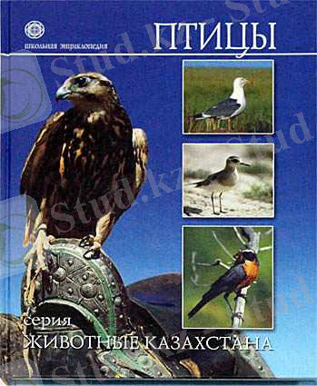 Картинка 73 из 3443