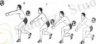 Безымянный