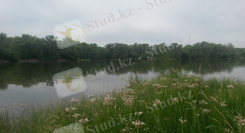 C:\Users\Adlet\AppData\Local\Microsoft\Windows\Temporary Internet Files\Content.Word\20150618_101134.jpg