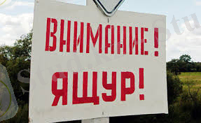 Без названия (40).jpg