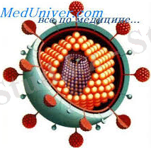 Без названия (36).jpg