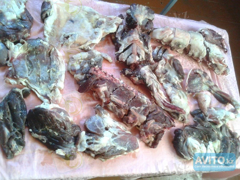 C:\Users\Packardbell pc\Desktop\сүр ет\ешкінің сүрленген еті.jpg