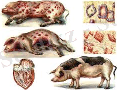 C:\Users\USER\Desktop\Без названия (1).jpg