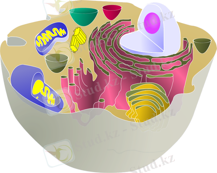 Похожее изображение