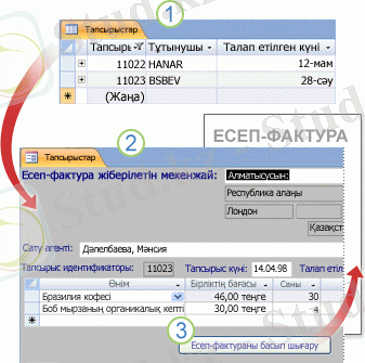 Пішіндер деректерді көруге әрі енгізуге мүмкіндік береді