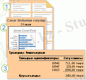 Пішінделетін немесе есептелетін деректерді көрсететін есептер