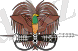 85px-Coat_of_arms_of_Papua_New_Guinea.svg.jpeg