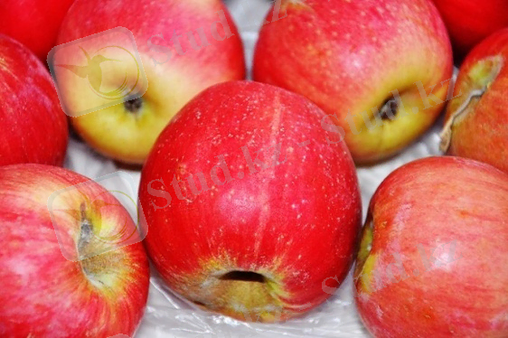 C:\Users\Администратор\Desktop\DSC_0158-680-x-452 (1).jpg