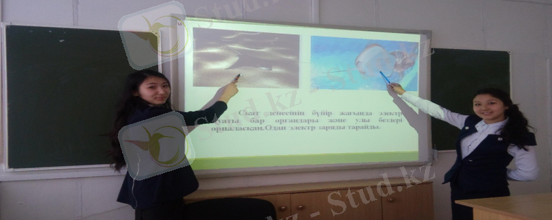 C:\Documents and Settings\Администратор\Мои документы\Мои рисунки\Изображение\Изображение 856.jpg