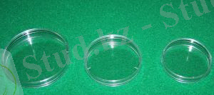 http://image.made-in-china.com/43f34j10eCMaWgDBZsop/Disposable-Plastic-Sterile-Pet.jpg