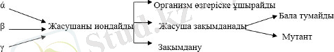 C:\Users\777\Desktop\РГ\1.jpg