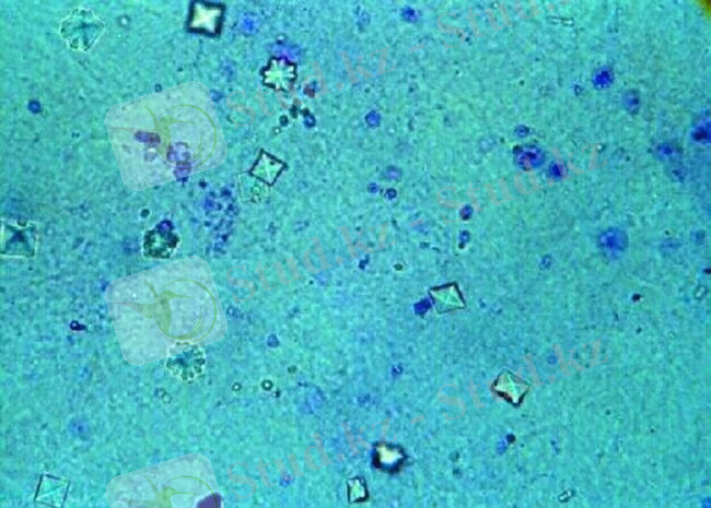 &Scy;&ocy;&lcy;&iecy;&vcy;&ycy;&iecy; &kcy;&rcy;&icy;&scy;&tcy;&acy;&lcy;&lcy;&ycy; &vcy; &pcy;&rcy;&icy;&bcy;&lcy;&icy;&zhcy;&iecy;&ncy;&ncy;&ocy;&mcy; &vcy;&icy;&dcy;&iecy;