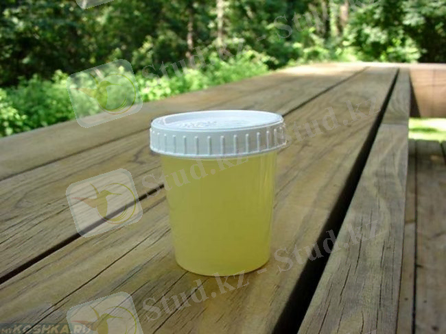 &Mcy;&ucy;&tcy;&ncy;&acy;&yacy; &mcy;&ocy;&chcy;&acy; &kcy;&ocy;&tcy;&acy; &vcy; &bcy;&acy;&ncy;&ocy;&chcy;&kcy;&iecy;