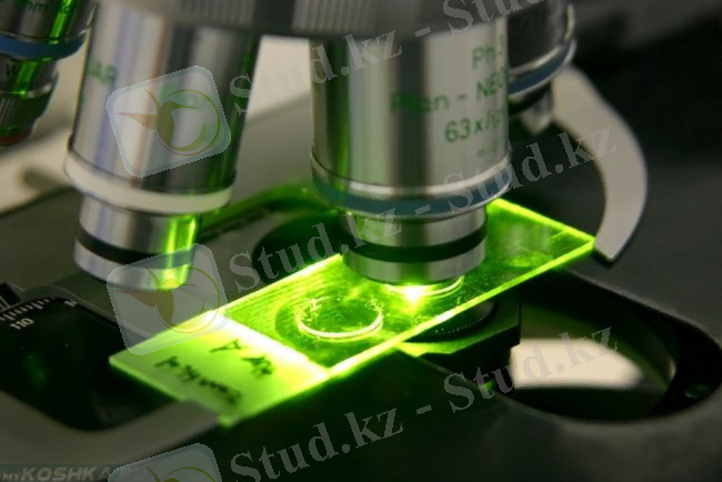 &Mcy;&icy;&kcy;&rcy;&ocy;&scy;&kcy;&ocy;&pcy;&icy;&chcy;&iecy;&scy;&kcy;&icy;&jcy; &acy;&ncy;&acy;&lcy;&icy;&zcy; &mcy;&ocy;&chcy;&icy;