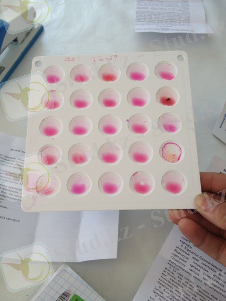 C:\Users\Admin\Desktop\Новая папка (4)\IMG-20170906-WA0051.jpg