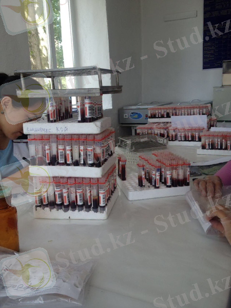 C:\Users\Admin\Desktop\Новая папка (4)\IMG-20170906-WA0046.jpg