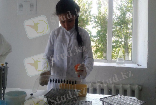 C:\Users\Admin\Desktop\Новая папка (4)\IMG-20170906-WA0042.jpg