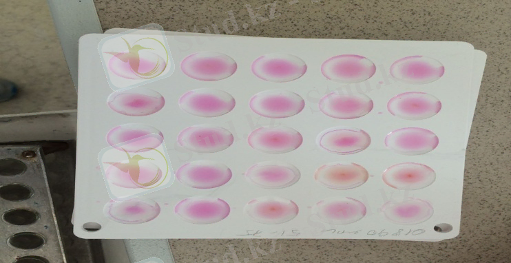 C:\Users\User\Documents\Bluetooth Folder\IMG-20170906-WA0056.jpg