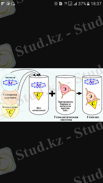 C:\Users\User\Documents\Bluetooth Folder\Screenshot_20170916-183729.png