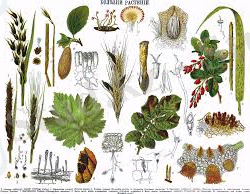 скачанные файлы (12).jpg