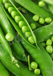 http://www.bonduelle.kz/uploads/_contents/14/content/mini_green-pea-vegetables1.jpg