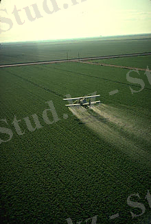 https://upload.wikimedia.org/wikipedia/commons/thumb/5/5e/Cropduster_spraying_pesticides.jpg/220px-Cropduster_spraying_pesticides.jpg